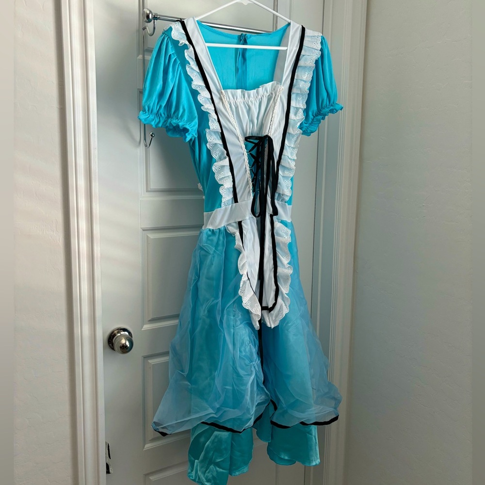 Alice in Wonderland Costume Halloween